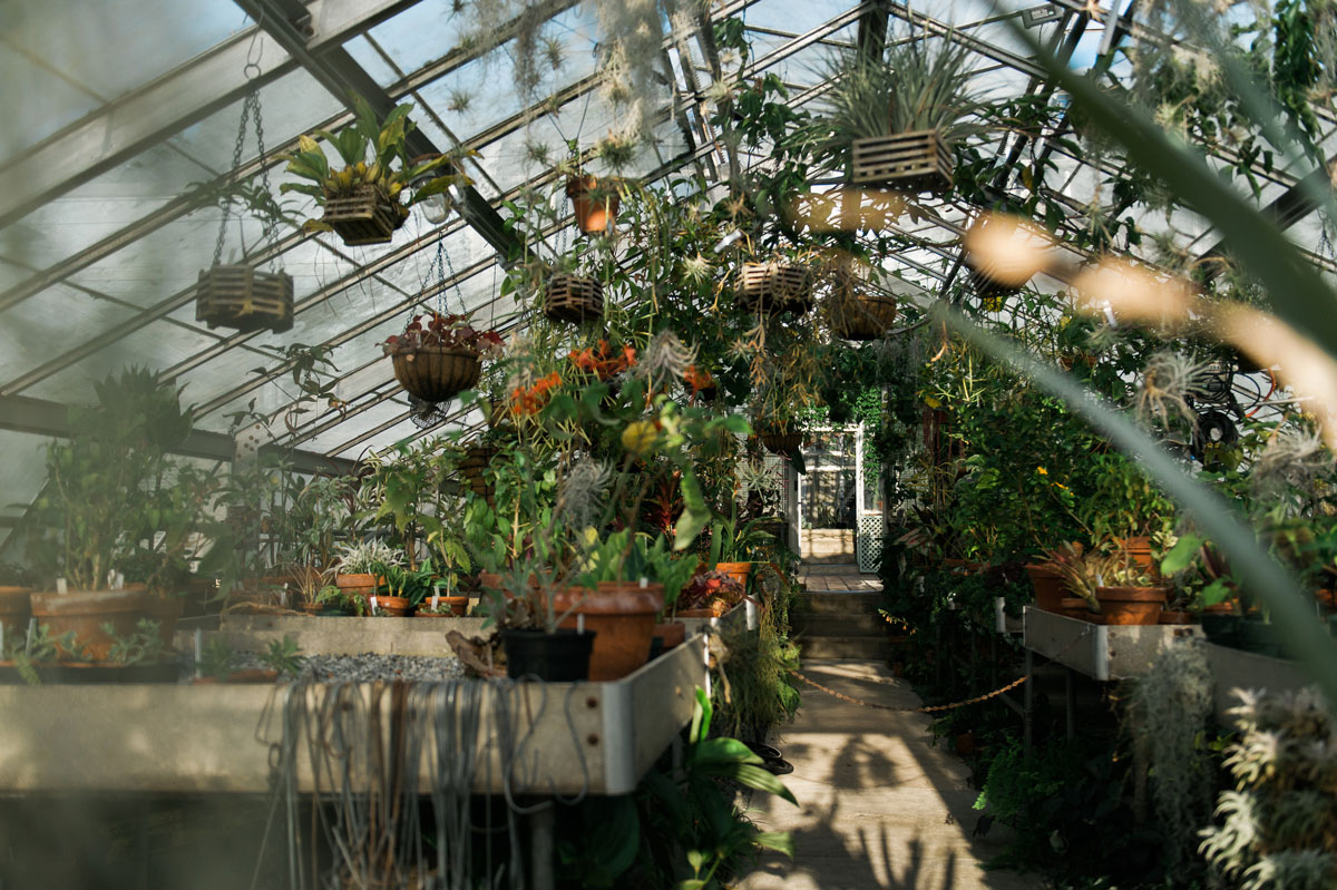Greenhouse at Wave Hill